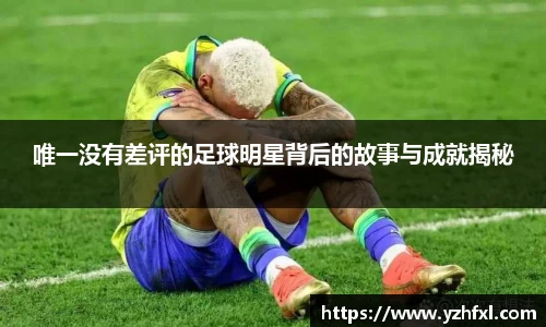 唯一没有差评的足球明星背后的故事与成就揭秘