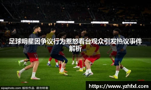 足球明星因争议行为惹怒看台观众引发热议事件解析